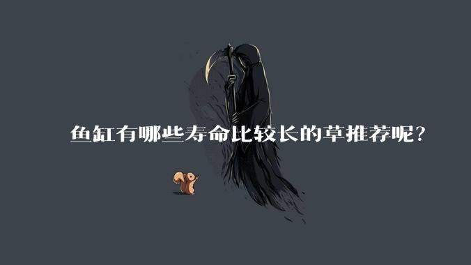 鱼缸有哪些寿命比较长的草推荐呢?