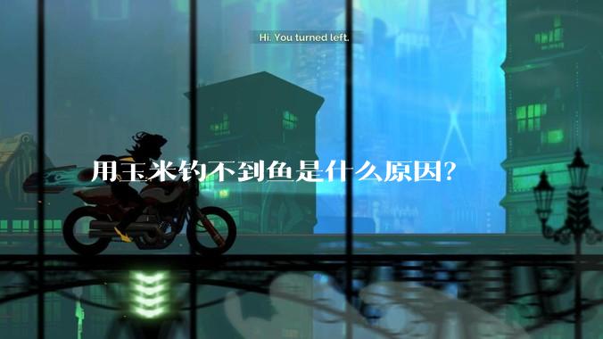 用玉米钓不到鱼是什么原因?