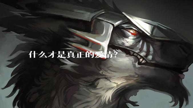 什么才是真正的爱情?