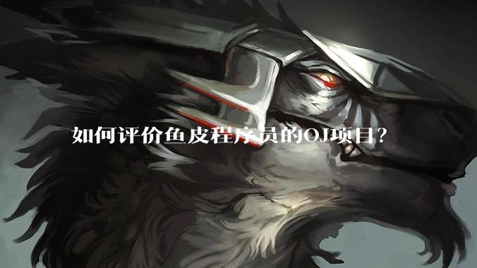 如何评价鱼皮程序员的OJ项目?