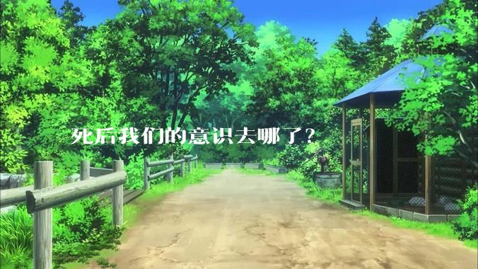 死后我们的意识去哪了?